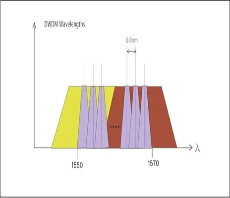 Jak si vybrat: CWDM nebo DWDM?